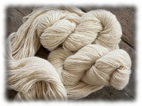 Toumi laine wool export tunisia