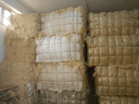 Toumi laine wool export tunisia